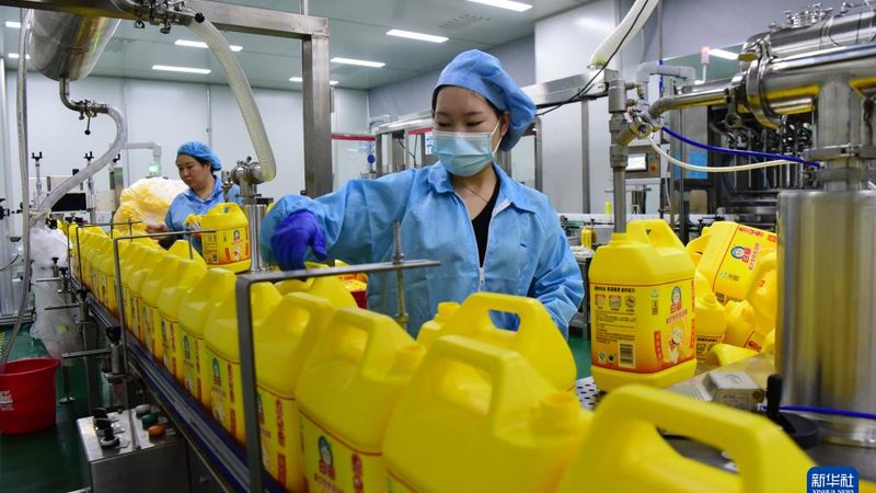 解码山东化工原料生产基地的十大品牌，揭秘其核心价值**