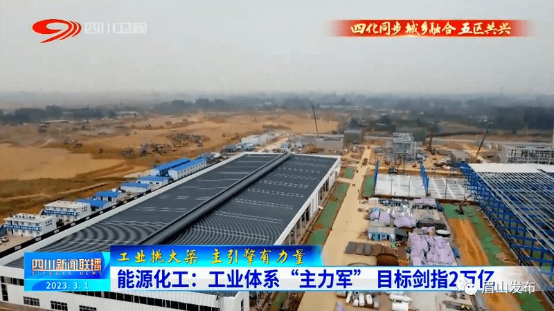 选择好供应商后，与供应商进行沟通，确认以下事项：